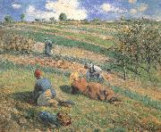Camille Pissarro Field work painting
